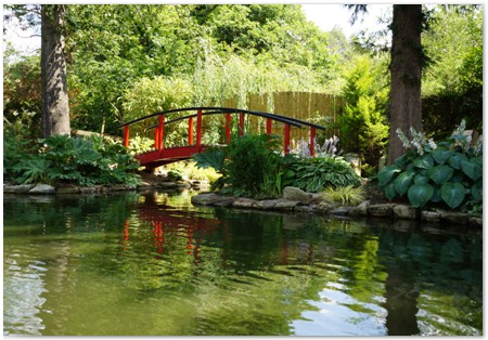 Monet style bridge for wedding photos