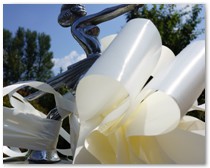 Hampshire wedding car hire
