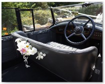 Bugsey interior