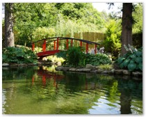 'Monet' style bridge for photographs